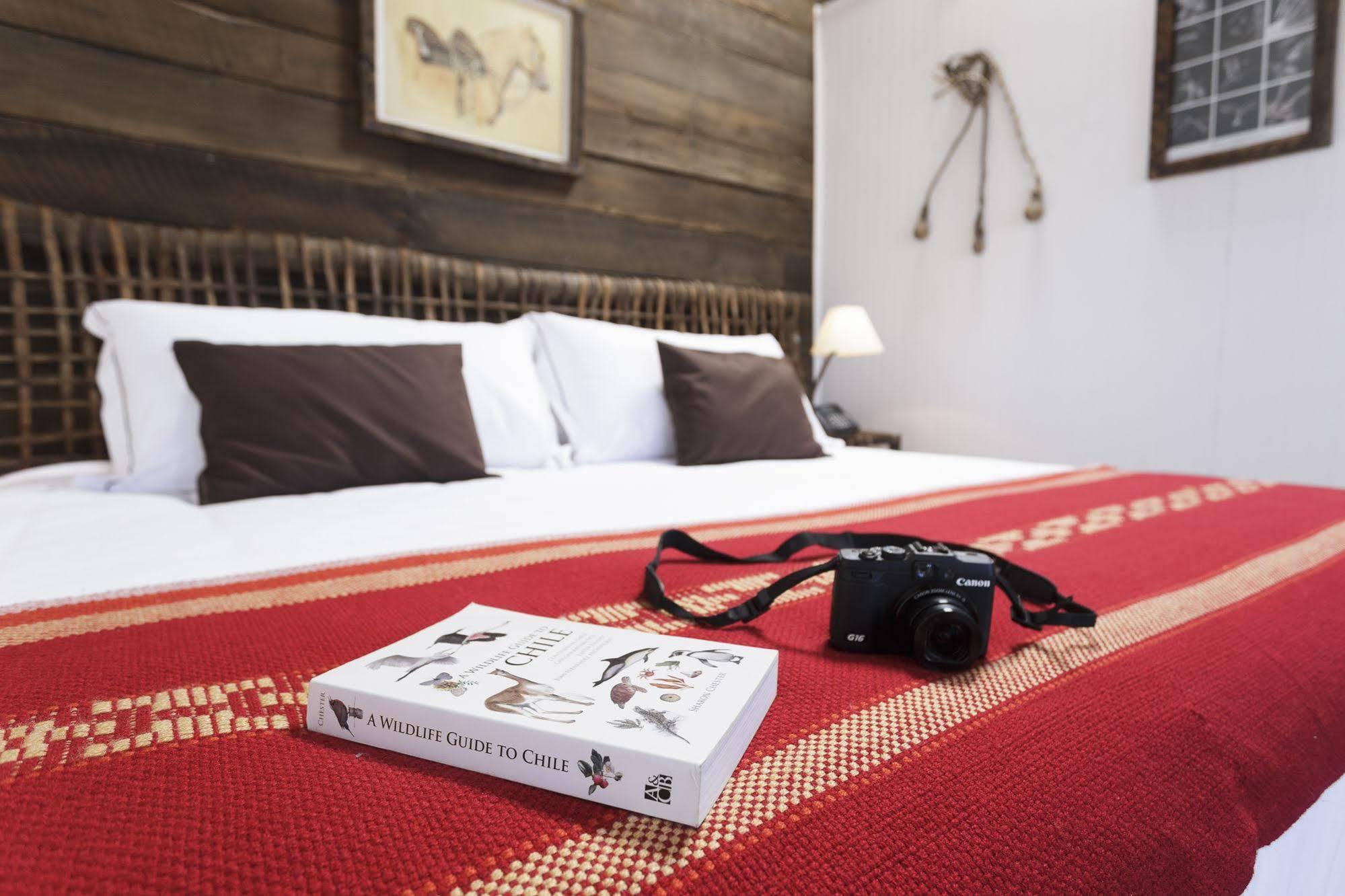 Boutique La Yegua Loca 3* Punta Arenas
